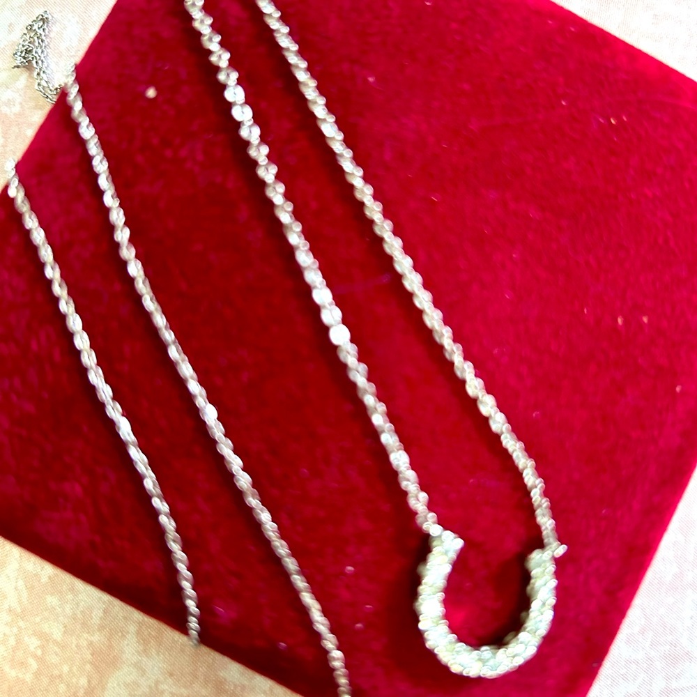 Silvertone horseshoe necklace with extender